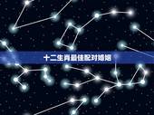 十二生肖最佳配对婚姻，十二生肖婚配:属相合婚配对表