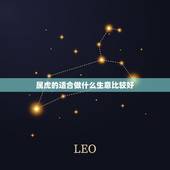 属虎的适合做什么生意比较好，86属虎的人今年适合做什么生意？