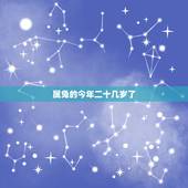 属兔的今年二十几岁了，兔子今年几岁2022