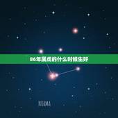 86年属虎的什么时候生好，属虎人35岁转运之年