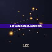 2005年属鸡和2004年属猴婚配，2017年的属鸡命与2004年属猴