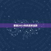 紫微2022年的流年运势，紫微斗数入门教程