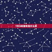 1995年猪年是什么命，我96年涧下水命，女朋友是95年山头火命，我们