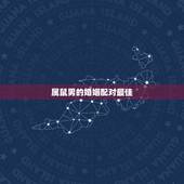 属鼠男的婚姻配对最佳 属鼠男和十二生肖配对