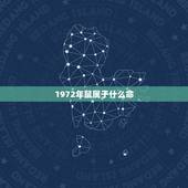 1972年鼠属于什么命，1972年属鼠的是什么命