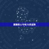 属猴的人今年12月运势，68年12月26日属猴运程爱情观