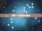 怀孕一个月最准看男女，b超图看胎儿性别图解