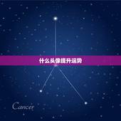 什么头像提升运势，选什么做微信头像运势好？