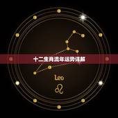 十二生肖流年运势详解，2010年生肖马属相运程