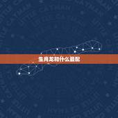 生肖龙和什么最配，生肖马和什么生肖最配