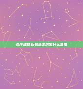 兔子成精比老虎还厉害什么属相，兔子成精，比老虎还厉害猜一生肖懂得回答