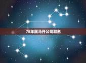 78年属马开公司取名，1978年属马，求公司名！