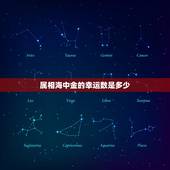 属相海中金的幸运数是多少，1985929的幸运数字是多少？