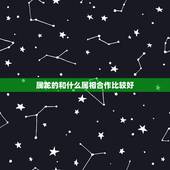 属龙的和什么属相合作比较好，龙跟啥属相更好