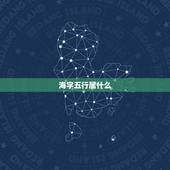海字五行属什么，海五行属什么的