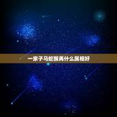 一家子马蛇猴再什么属相好，妈妈属马爸爸属猴生个属什么的孩子好