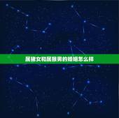 属猪女和属猴男的婚姻怎么样，属猪女跟属猴男相配吗