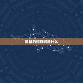 属鼠的招财树是什么，属鼠2022 年运势及运程