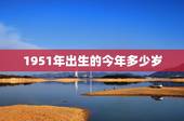 1951年出生的今年多少岁，1951年出生的人几岁？