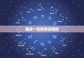 属虎一生的命运如何，属虎命运如何