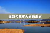 属蛇今年多大岁数虚岁，属鸡的今年多少岁