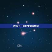 农历十一月蛇女命运如何，属蛇11月出生的女人