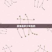 属兔是多少年生的，属兔的出生年月