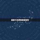 属猴今年感情婚姻如何，92属猴男今年有婚姻吗