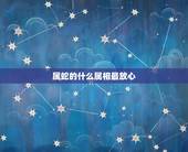 属蛇的什么属相最放心，属蛇的和什么属相最配