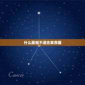 什么属相不适合家养猫，养猫咪也有很大的讲究，知道什么属相的人适合养猫吗