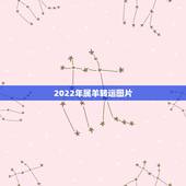 2022年属羊转运图片，属羊2022年高考升学怎样