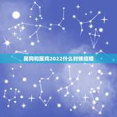 属狗和属鸡2022什么时候结婚，属狗人2022腊月二十结婚