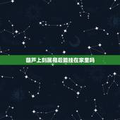 葫芦上刻属相后能挂在家里吗，家有属猪的能不能挂葫芦？