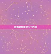 歌曲你是我放不下的缘，你是我放不下的情缘？