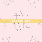 输入姓名天生一对软件，有没有一种软件，你可以在里面输入你喜欢的人的名字