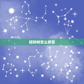 招财树怎么修剪，发财树修剪的正确方法