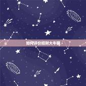 如何评价招财大牛猫，招财大牛猫老婆为什么叫后妈？