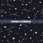 属狗戴什么东西能转运，属狗做生意不好带什么转运
