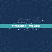 1988年属龙人一生命运如何，1988年属龙女的命运如何