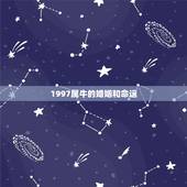 1997属牛的婚姻和命运，1997年出生，属牛是什么命啊