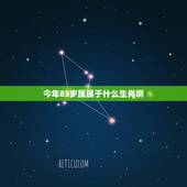 今年83岁属属于什么生肖啊，2022 年83年多少岁