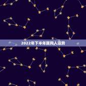 2022年下半年属狗人运势，70年属狗女人2022 年的运势