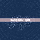 亥山巳兼乾适合什么属相，亥山巳向兼乾巽几度好