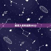 属龙人虎年运势2022，属龙的今年运势