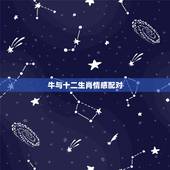 牛与十二生肖情感配对，属牛的和什么属相比较相配啊？