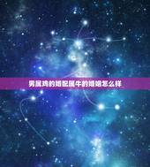 男属鸡的婚配属牛的婚姻怎么样，属鸡和属牛两个人婚姻好不好的？