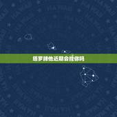 塔罗牌他近期会找你吗，塔罗牌他会回来找我吗