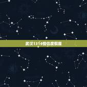 武汉1314情侣度假屋，郑州1314情侣度假屋有钟点房