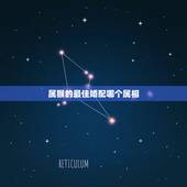 属猴的最佳婚配哪个属相，属猴的和什么属相最合适