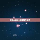 属猴人2022运程每月运势，68年属猴2021年运势及运程每月运程